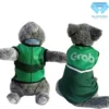 Grab - Cover Grab - Cover